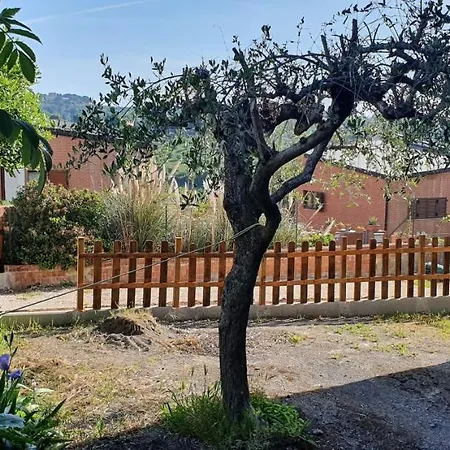 La Casina Di Jo * Siena