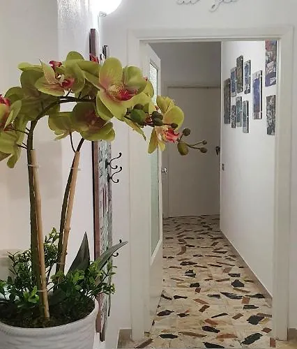 La Casina Di Jo 아파트